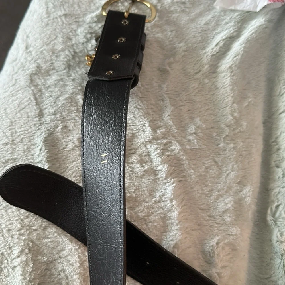 Elegant Black Belt